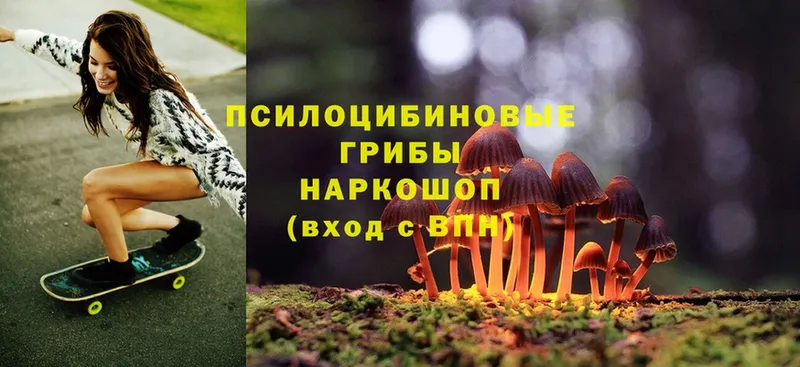 купить наркотики сайты  Белоусово  МЕГА   Псилоцибиновые грибы Psilocybine cubensis 